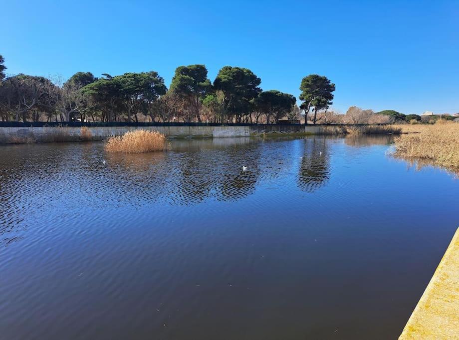 Apartamento A 50 Metros De La Playa. プラヤ・デアロ エクステリア 写真